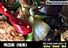 炖白菜（烩菜）的做法
