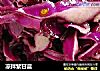 凉拌紫甘蓝的做法