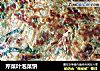 芹菜叶泡菜饼的做法