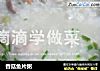 香菇鱼片粥的做法