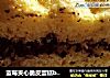 蓝莓夹心脆皮蛋糕by：普蓝高科蓝莓美食特约撰稿人的做法