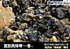 豆豉蒸排骨---冬季简易食谱的做法