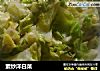 素炒洋白菜的做法