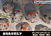 金枪鱼米饭丸子的做法