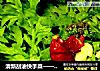 清新刮油快手菜——麻油淋茼蒿的做法