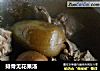 排骨无花果汤的做法