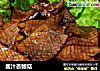 酱汁杏鲍菇的做法