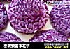 枣泥紫薯米花饼的做法