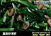 韭菜炒河虾的做法