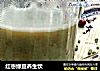 红枣绿豆养生饮的做法