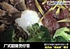 广式腊肠煲仔饭的做法