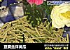 豆腐丝拌黄瓜的做法