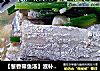 【葱香带鱼汤】滋补好营养的做法