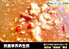 燕麦荸荠养生粥的做法