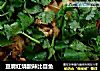 豆腐红烧酸辣比目鱼的做法