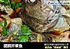 团圆开屏鱼的做法