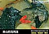 淮山药乌鸡汤的做法