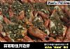 蒜蓉粉丝开边虾的做法