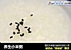 养生小米粥的做法