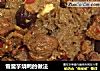 雪魔芋烧鸭的做法的做法