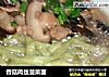 香菇肉丝菠菜面的做法
