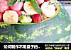 如何制作不用盘子的水果沙拉的做法