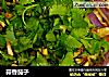 蒜香茄子的做法