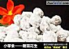 小零食——糖霜花生的做法
