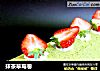 抹茶草莓卷的做法
