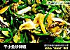 干小鱼炒辣椒的做法