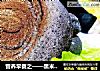 营养早餐之——黑米酱香烧饼的做法
