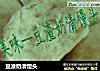 豆渣奶清馒头的做法