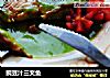 豌豆汁三文鱼的做法