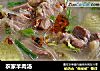 农家羊肉汤的做法