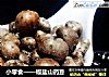 小零食——椒盐山药豆的做法
