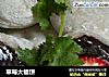草莓大福饼的做法