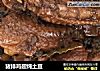 猪排鸡翅炖土豆的做法