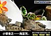 小零食之——海苔充气锅巴的做法