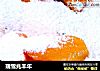 瑞雪兆丰年的做法