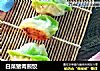 白菜猪肉煎饺的做法