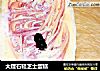大理石轻芝士蛋糕的做法