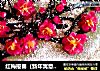 红梅报春（新年寓意甜点）的做法