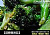 【蒜香西兰花】的做法