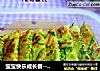 宝宝快乐成长餐---蔬菜鸡蛋饼的做法