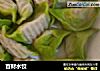 百财水饺的做法