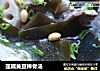 莲藕黄豆棒骨汤的做法