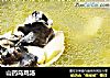山药乌鸡汤的做法