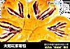太阳花紫薯包的做法