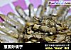 葱姜炒蚬子的做法