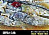 清炖大头鱼的做法